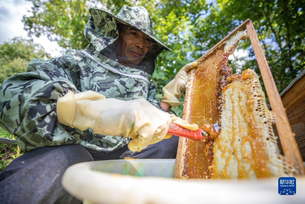 新版捕鱼网站